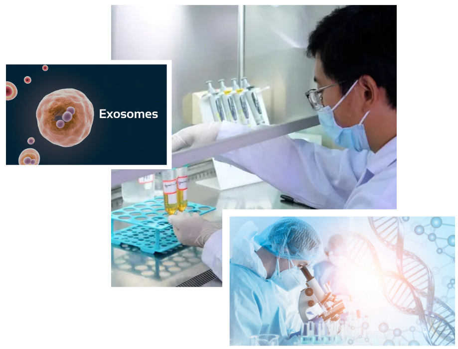 Allogenic Mesenchymal Stem Cell Derived Extracellular Vesicle Exosome Therapy in London