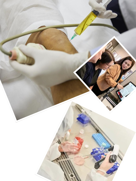 Our Signature Extracellular Matrix Lip Treatment Process