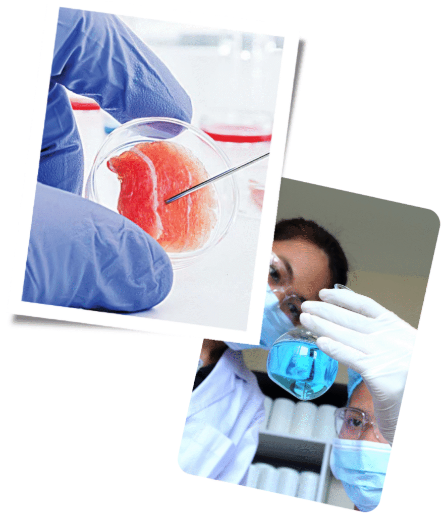 Why Choose Our London Clinic for Extracellular Matrix Stem Cell Recruiter Therapy